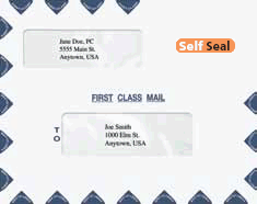 Double Window Self Seal First Class Mail Landscape Envelope for UltraTax (9 1/2 in x 12 in) (100 Envelopes)